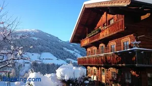 Image of Fürstenhäusl Alpbach - GREEN Apartments & Studio