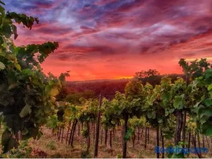 Image of Ferienwohnung Am Säuerlingsturm