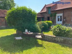 Image of Le chat sur le balai