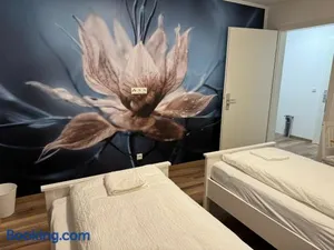 Image of PENSION AMEDY