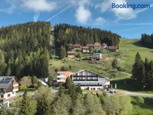 Image of Hotel Alpengasthof Hochegger