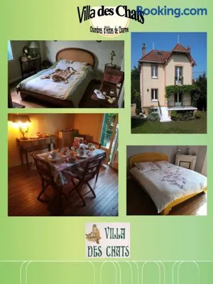 Image of la villa des chats