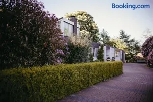 Image of An der Kastanie