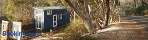 Image of Blue Orchid Tiny House