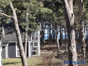Image of Ostsee Strandhaus Seerobbe