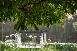 Image of The Woods Pokolbin