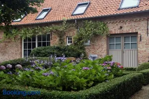 Image of Wilgenwind