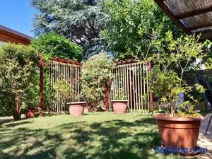 Image of Michael's Nest