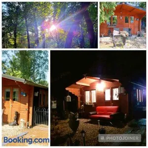 Image of Chalet op een rustig park in de natuur