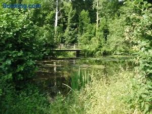 Image of Les Coucous