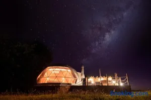 Image of Au Champ de l'Insolite