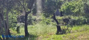 Image of LES BOIS DE ZOLA entre Provence et Luberon
