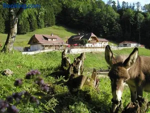 Image of Ferienwohnung Hochsteinalm