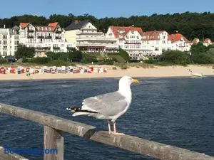 Image of Panorama Hotel Bansin