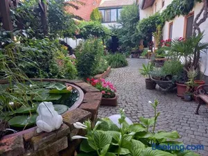 Image of Winzerhof Fleischmann