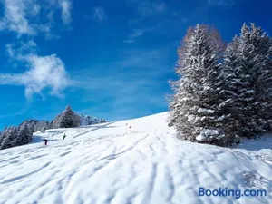 Image of Landal Chalet Matin