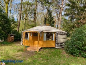 Image of Ons Yurt Huisje in het Bos