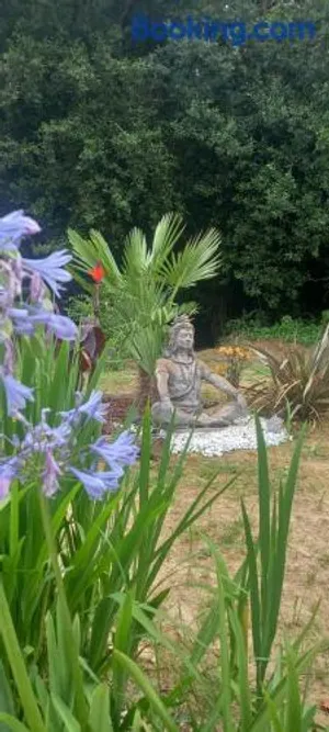 Image of Le chant des oiseaux