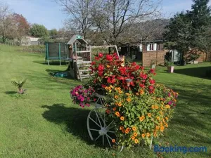 Image of Chalet Fuchsia à Argentat