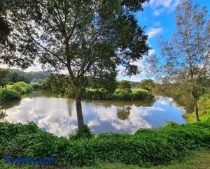 Image of Riverbend Cottage Cabin - Little Heaven