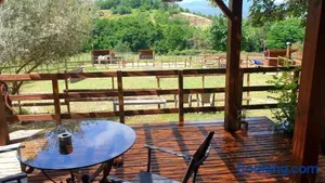 Image of Chambre d'hôtes Le Petit Ranch