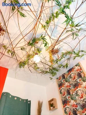Image of Le studio Naturel