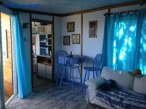 Image of L'oiseau BLEU à CALVI