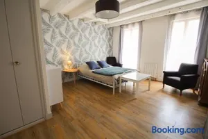 Image of Monlogis 2 Grand Studio lumineux- Fibre