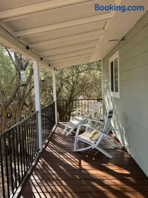 Image of Trees of Heaven - Olive House