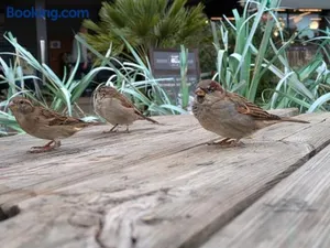 Image of Résidence Mes Amours d'Enfants - Les Villas du Lac