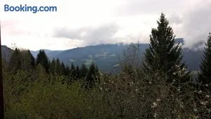 Image of Rauter in Wöllan