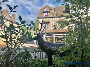 Image of Gite Hotel de maître centre village la Chapelle