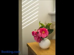 Image of Cedar Apartment