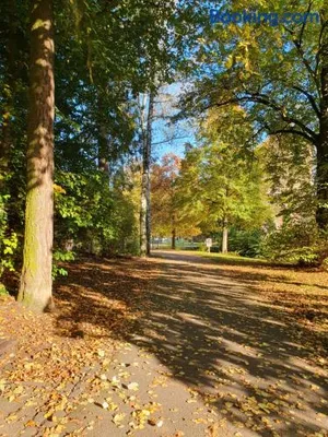 Image of Les Tilleuls