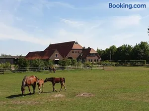 Image of Camping Eefting