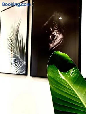 Image of Jungle garage privé netflix