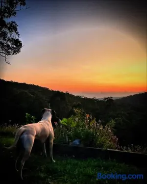 Image of The House of the Rising Sun & Hot Spa