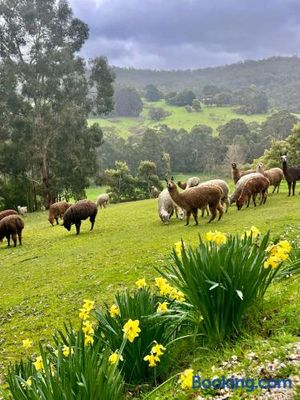 Image of Pennyroyal Otways Retreat