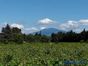 Image of L'Oustau de MaLo