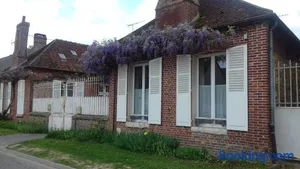 Image of les glycines