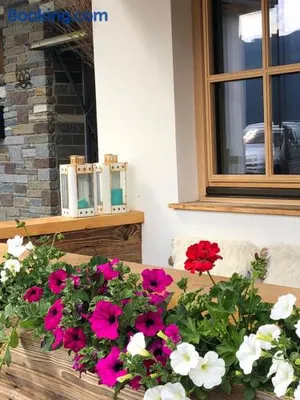 Image of Alpbach 646