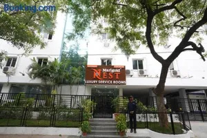 Image of Marigold At Nest