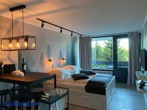 Image of Schwarzwald Wohnung Kniebis