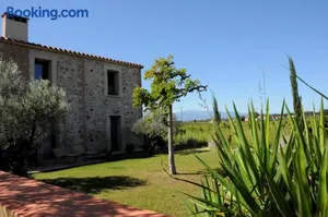 Image of MAS CAMBEL