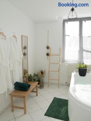 Image of EVASION TROPICALE - studio avec spa, cosy et rénové au cœur de Soissons - 2 pers
