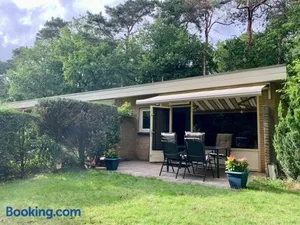 Image of Sluwe Vos: ontspannen in het bos!
