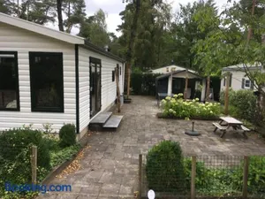 Image of Forest Family 6 persoons op 5 sterren park