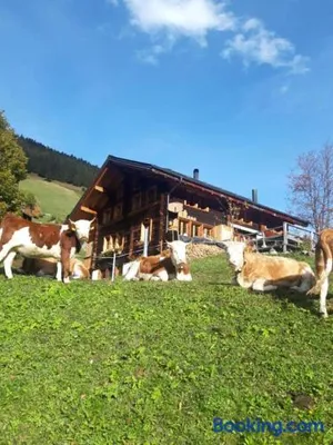 Image of Olle and Maria's B&B- apartment