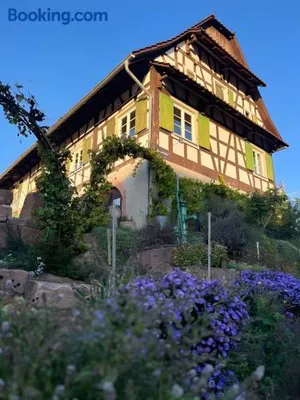 Image of Fewos Weingut Pieper Basler