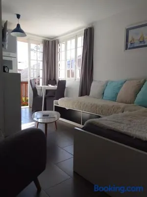 Image of Les cigognes